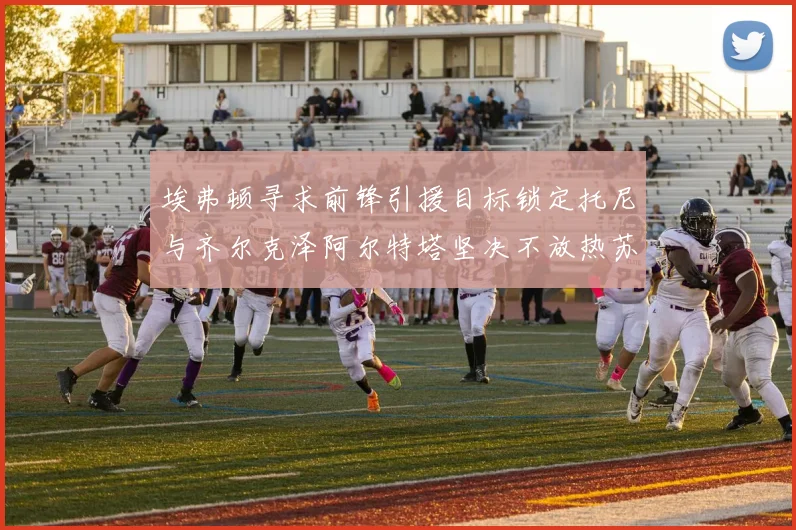 埃弗顿寻求前锋引援目标锁定托尼与齐尔克泽阿尔特塔坚决不放热苏斯