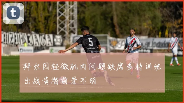 拜尔因轻微肌肉问题缺席多特训练出战黄潜前景不明